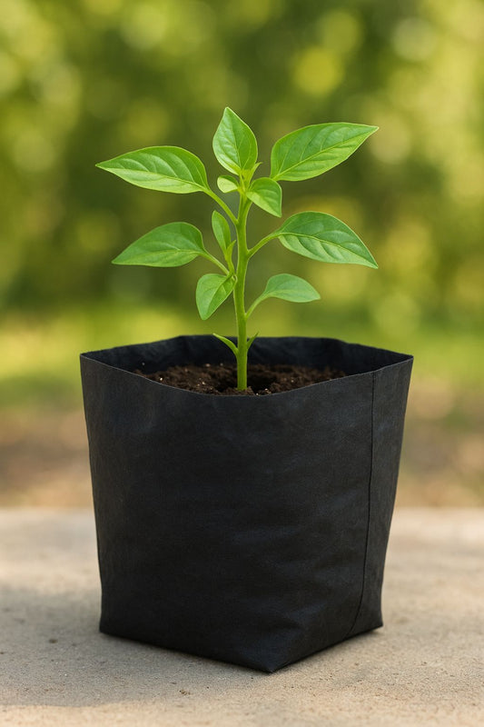 Nursery/ grow plant bags